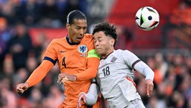 Van Dijk Kritik Lapangan Euro 2024 yang Buruk: Memalukan