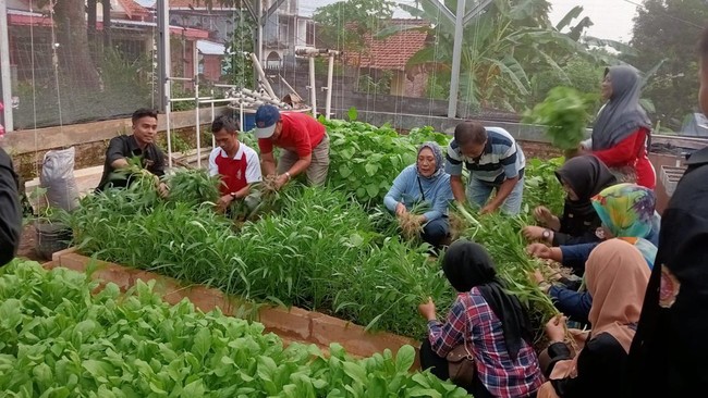 Mbak Ita, panggilan Wali Kota Semarang, meminta warga untuk memanfaatkan tanah-tanah bengkok milik Pemkot Semarang sebagai lahan urban farming.