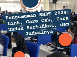Pengumuman SNBT 2024: 42 Link, Cara Cek hingga Cara Unduh Sertifikat
