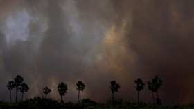 Lahan Basah Tropis Terbesar Dunia di Brasil Terbakar