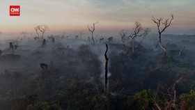 VIDEO: Kebakaran Lahan di Brasil Dipicu Perubahan Iklim dan El Nino