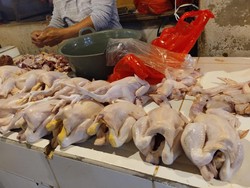 Harga Ayam di Kalimantan Selatan Anjlok, Terendah Ketiga Se-Indonesia