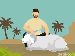 Syarat Hewan Aqiqah dan Qurban yang Disembelih, Apa Saja?