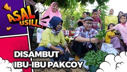 John Martin Bercocok Tanam Bareng Ibu-ibu di Kampung Pakcoy