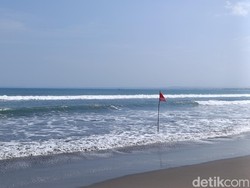 Bertambah Lagi Lumba-lumba yang Mati Terdampar di Pantai Pangandaran