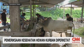 VIDEO: Pemeriksaan Kesehatan Hewan Kurban Diperketat