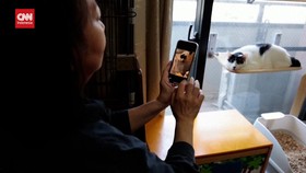 VIDEO: AI Rasa Dokter di Jepang, Bisa Cek Kucing Sakit