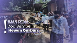 Idul Adha Tiba, Ini Doa Menyembelih Hewan Kurban Orang Lain
