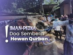 Idul Adha Tiba, Ini Doa Menyembelih Hewan Kurban Orang Lain