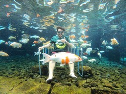 Umbul Ponggok, Kolam Renang Jernih Alami, Bisa Snorkling hingga Scuba Diving!