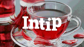 INTIP: Deret Teh Pembakar Lemak Perut yang Paling Tokcer