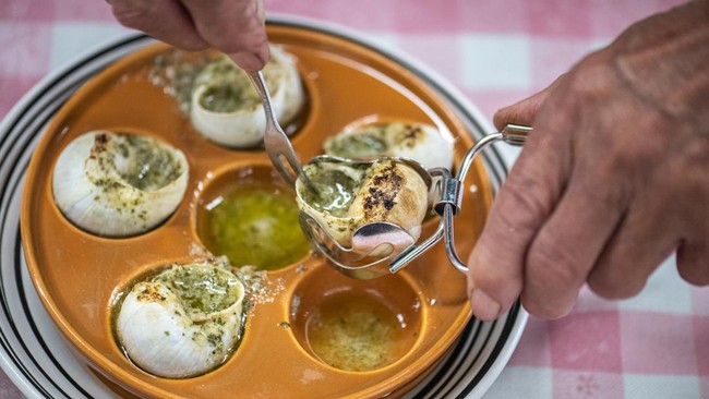 FOTO: Menengok Peternakan Siput 'Escargot' di Jepang