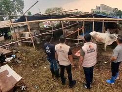 Satgas Pangan Polri Cek Stok Bahan Pokok dan Hewan Kurban Jelang Idul Adha