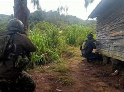 Markas OPM di Paniai Direbut TNI-Polri, 1 Pelaku Ditembak Mati