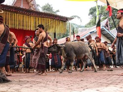 Mengenal Horja Bius, Tradisi Musyawarah Suku Batak Toba