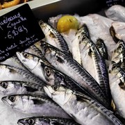 Apakah Cacing dalam Daging Ikan Berbahaya? Ini Penjelasannya