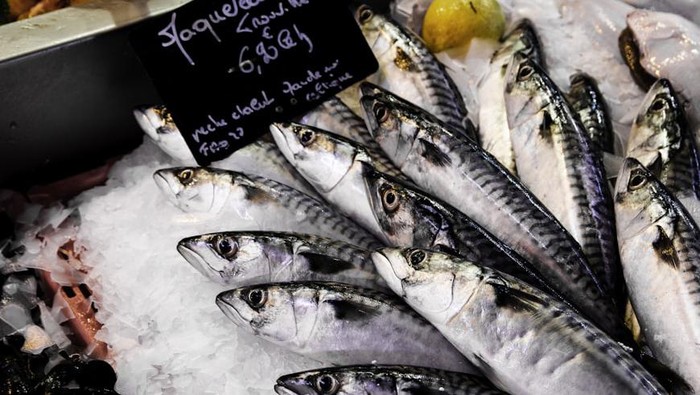 Apakah Cacing dalam Daging Ikan Berbahaya? Ini Penjelasannya