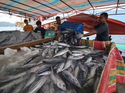 Investasi Sektor Kelautan Perikanan Tembus Rp 2,38 T Kuartal I 2025