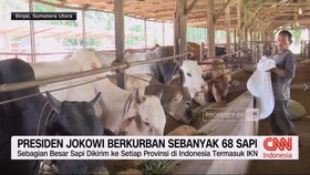 VIDEO: Presiden Jokowi Berkurban Sebanyak 68 Sapi