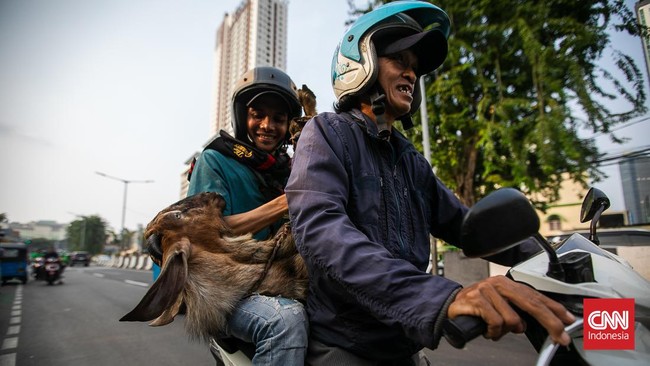 FOTO: Geliat Pasar Kambing Tanah Abang Jelang H-1 Idul Adha