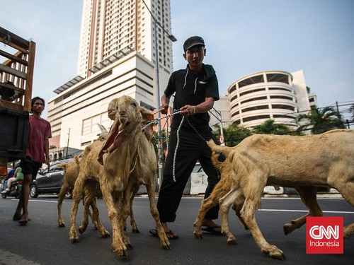 Larangan untuk Orang yang Berkurban Idul Adha, Muslim Wajib Perhatikan