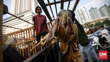 FOTO: Geliat Pasar Kambing Tanah Abang Jelang H-1 Idul Adha