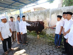 Salurkan 60 Hewan Kurban, Bupati Ipuk Minta Warga Saling Membantu Sesama