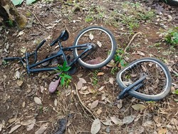 Tragis! Kakek di Jember Temukan Cucu Tewas Usai Sepedanya Tabrak Pohon