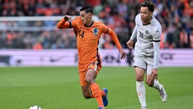 4 Pesaing Pemain Keturunan Maluku Jadi Starter di Belanda vs Polandia