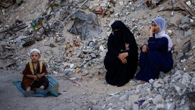 Israel Tutup Perbatasan saat Iduladha, Larang Hewan Kurban Masuk Gaza