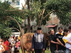 Momen Anies Sembelih Sapi Kurban Miliknya di Masjid Babul Khoirot Jaksel