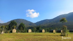 Sensasi Menginap di Tengah Kebun Teh Pangalengan hingga Jajal Aktivitas Seru