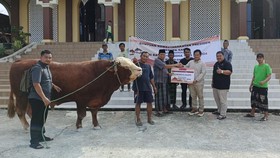 Jokowi Kurban Sapi Seberat 900 Kg Buat Warga Sekitar IKN