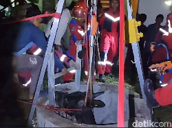 Sapi-sapi Ngamuk Jelang Kurban, di Makassar Ngumpet ke Sumur