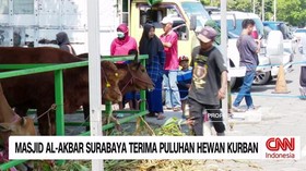 VIDEO: Masjid Al-Akbar Surabaya Terima Puluhan Hewan Kurban