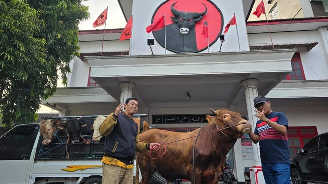 DPC PDIP di 38 kabupaten/kota se-Jawa Timur menyambut Idul Adha 1445 dengan menyembelih dan menyalurkan hewan kurban di masing-masing wilayah, Senin (17/6).