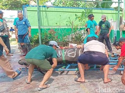 Musala Baitul Mukminin Sembelih Sapi dari Pj Gubernur Bali-Konjen China