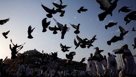 FOTO: Khusyuk Jemaah Haji Wukuf di Arafah saat Cuaca Panas Menyengat