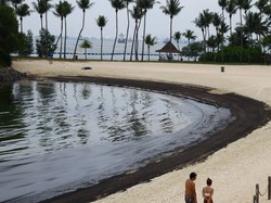 Singapura Berupaya Keras Bersihkan Pantai dari Tumpahan Minyak 400 Ton