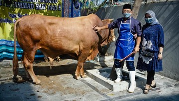 Pemberdayaan BRI Bantu Trimandiri Farm Jangkau Pasar Lebih Luas