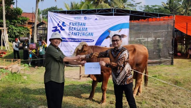 Mantap! Danone Indonesia Berbagi 373 Hewan Kurban ke Berbagai Wilayah