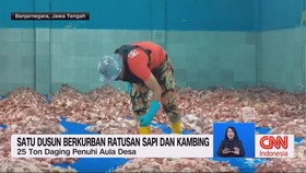 VIDEO: Satu Dusun Berkurban Ratusan Sapi dan Kambing