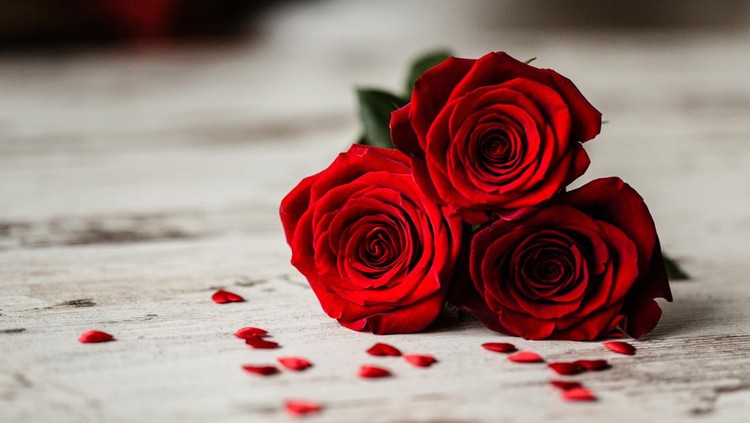 Three red roses and little red hearts