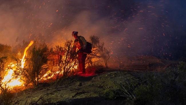 Api Lahap Luas Lahan Hutan Lindung Danau Toba, Hanguskan Puluhan Hektar