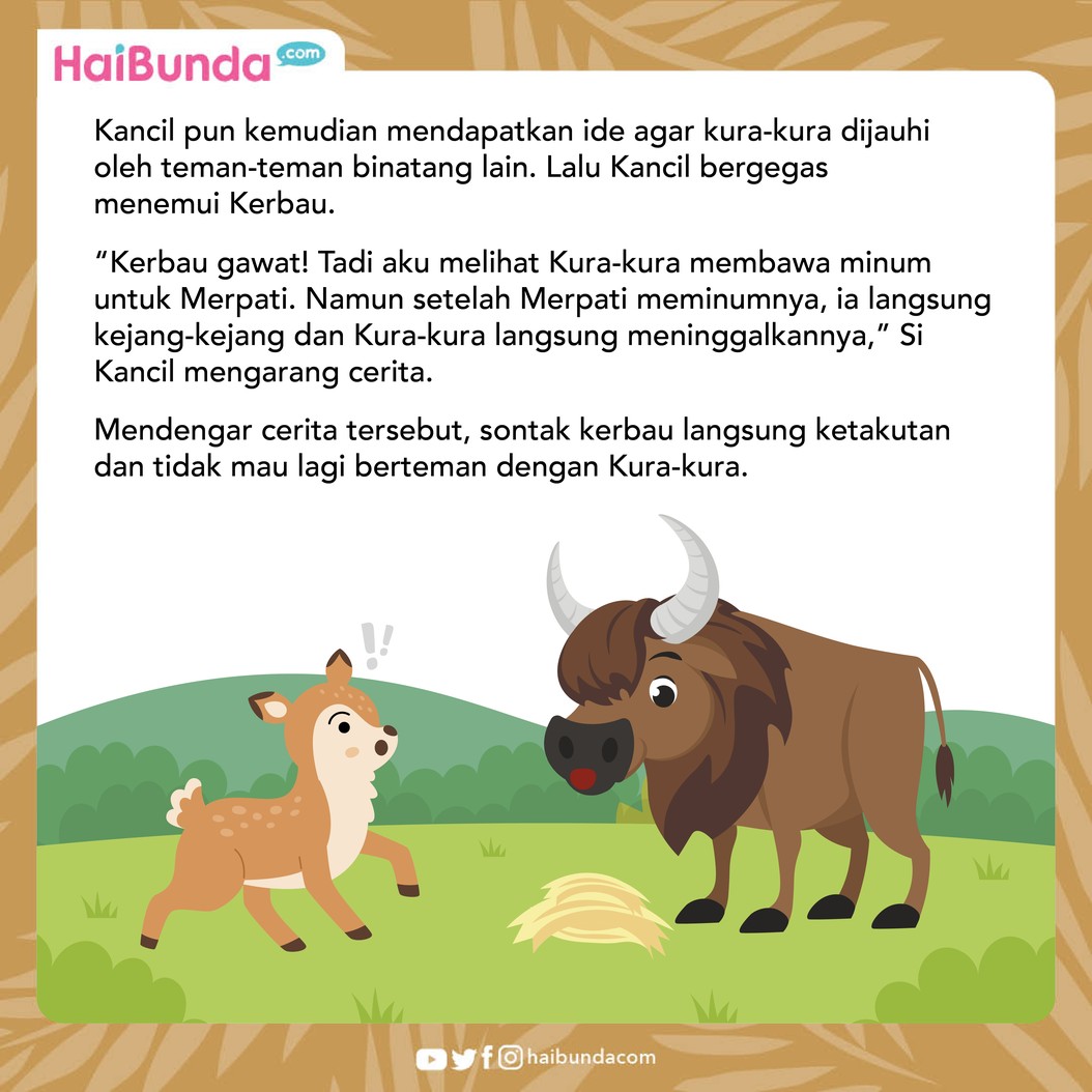 Jahatnya Fitnah Kelinci Pada Kura-kura
