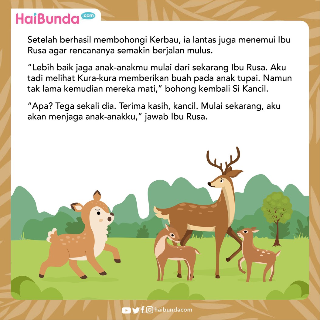 Jahatnya Fitnah Kelinci Pada Kura-kura