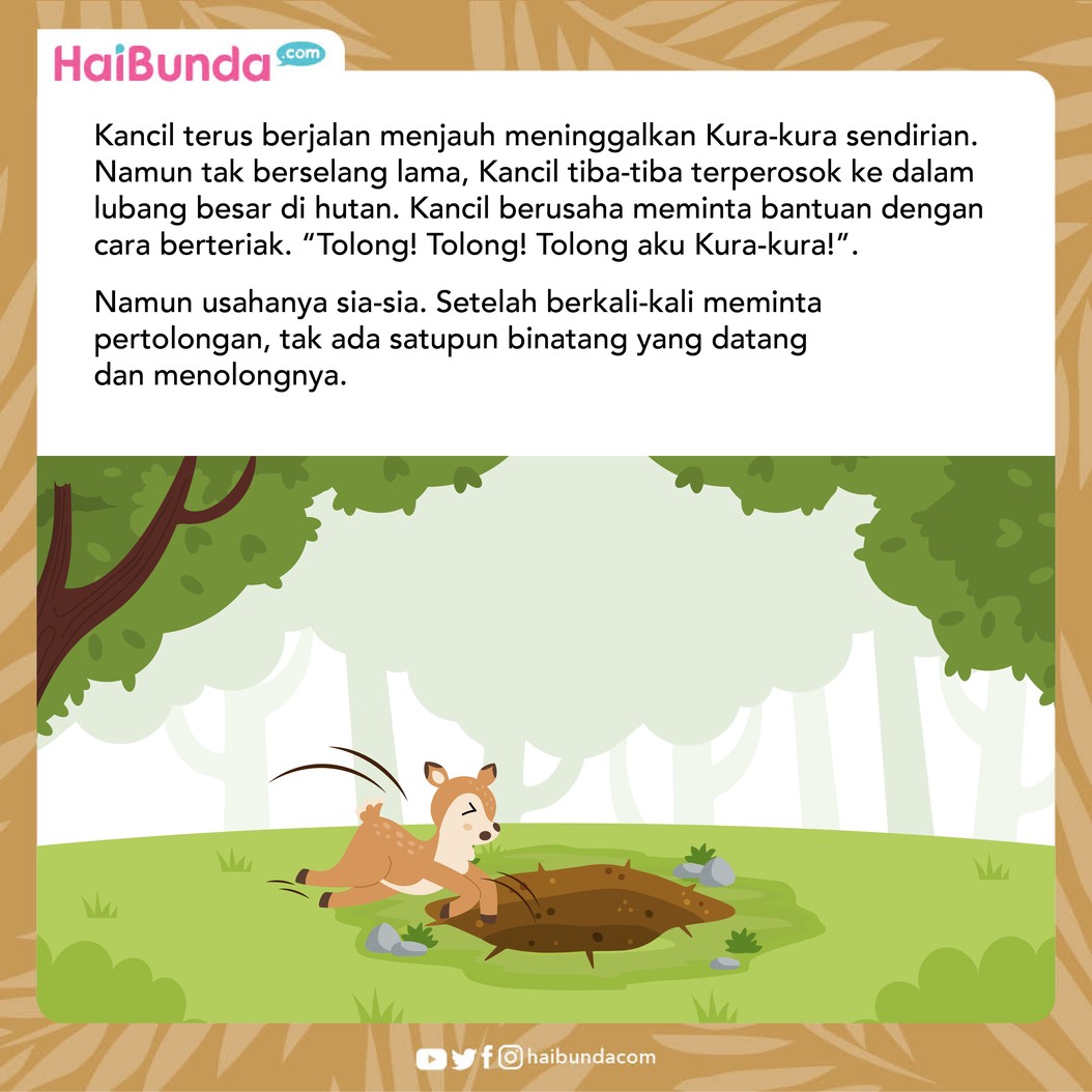 Jahatnya Fitnah Kelinci Pada Kura-kura