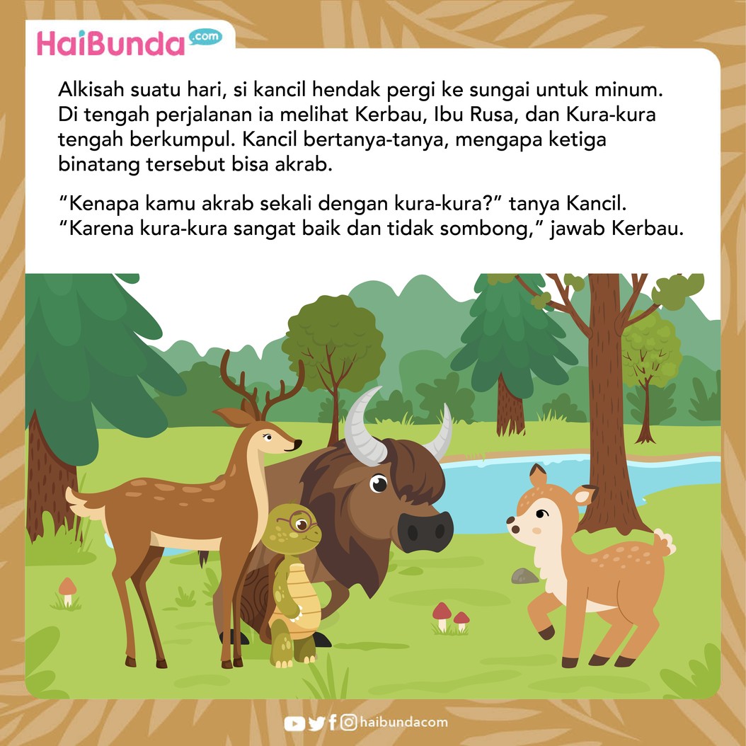 Jahatnya Fitnah Kelinci Pada Kura-kura