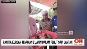 VIDEO: Panitia Kurban Temukan 2 Janin dalam Perut Sapi Jantan