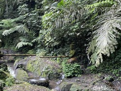 Melukat di Desa Taro Sekaligus Kuliner dengan Nuansa Khas Bali